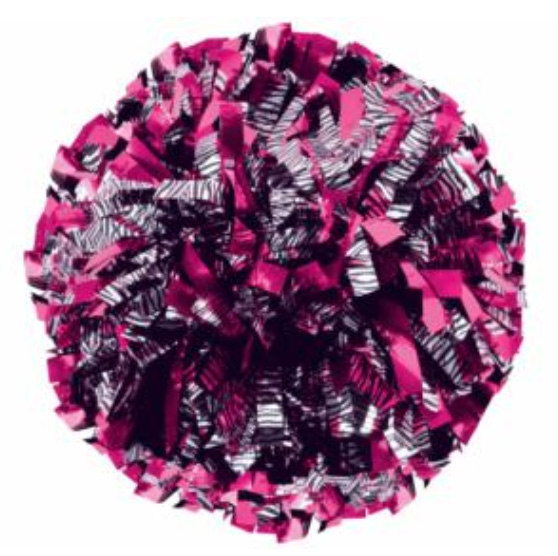 cheerleading poms cheerleading poms